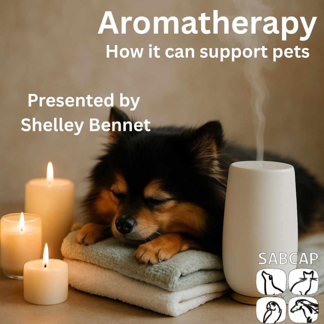 Aromatherapy by Shelley Bennet