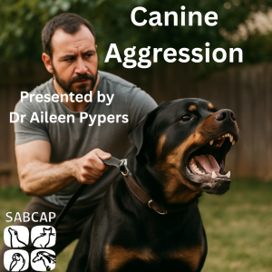 Canine Aggression by Dr Aileen Pypers