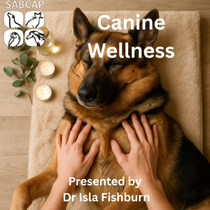 Introduction to Canine Wellness by Dr Isla Fishburn