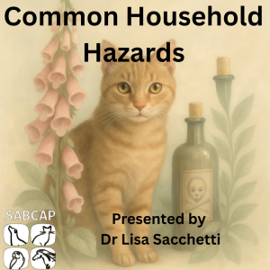 Common Household Hazards by Dr Lisa Sacchetti