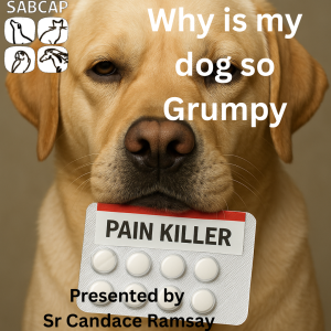 Why is my Dog so Grumpy? by Sr Candice Ramsay