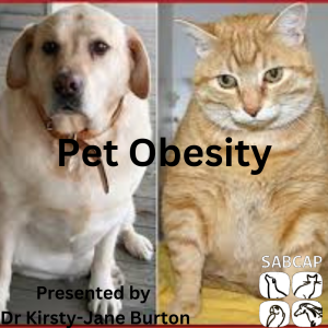 Pet Obesity by Dr Kirsty-Jane Burton