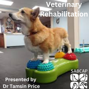 Veterinary Rehabilitation by Dr Tamsin Price