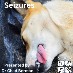 Seizures by Dr Chad Berman
