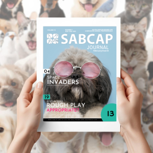 SABCAP Journal 2021