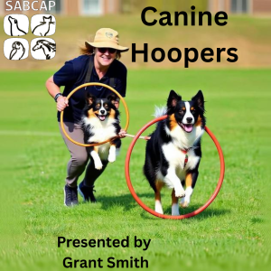 Introduction to Hoopers by Grant Smith